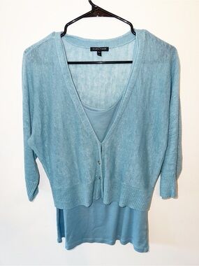 Eileen Fisher Light Blue V-Neck Layered Sweater Set